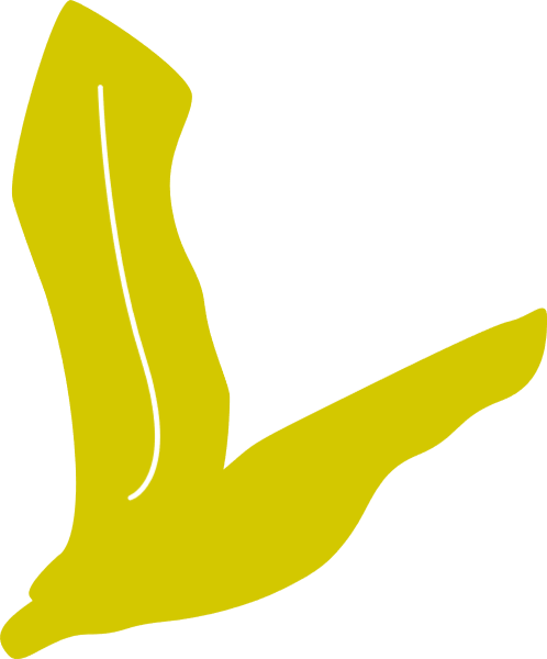 https://pub-static.fotor.com/assets/stickers/e2283a04-2573-4773-b4c3-c43bab1ad66b_thumb.png