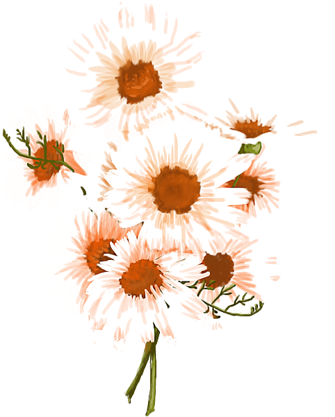 https://pub-static.fotor.com/assets/stickers/45f7bc38-de9a-41fc-98a0-8eeda03e2ec4_thumb.png