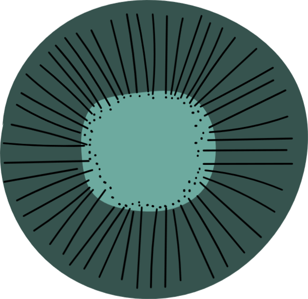https://pub-static.fotor.com/assets/stickers/43955197-99ff-4fd8-b785-2b7d56ed9831_thumb.svg