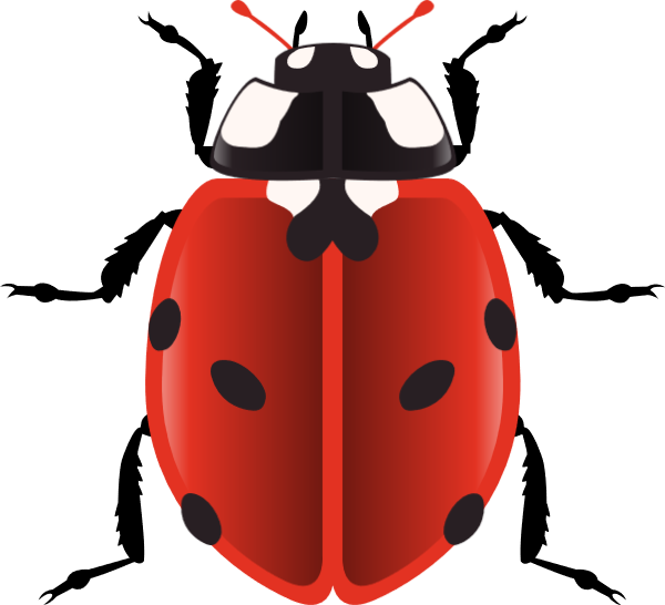 https://pub-static.fotor.com/assets/stickers/f8a698d3-c8d6-4c20-be4b-695b16f63f99_thumb.png