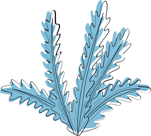 https://pub-static.fotor.com/assets/stickers/f50be886-936b-47fe-835a-c4041d025401_thumb.png
