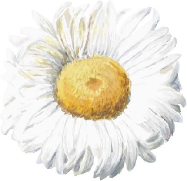 https://pub-static.fotor.com/assets/stickers/2a9fc070-b49c-4459-a46b-66dbc4ad42d1_thumb.png