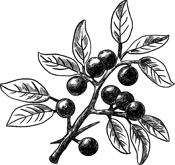 https://pub-static.fotor.com/assets/stickers/d06fc0be-55a8-40e1-a69c-cbd516898c0f_thumb.png