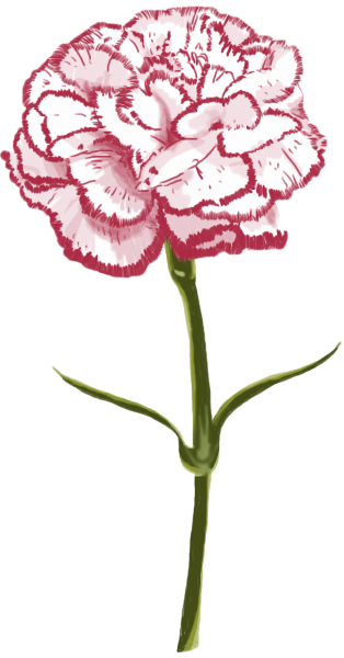 https://pub-static.fotor.com/assets/stickers/78c7d09b-51a7-4017-95d7-78e2e1bd25de_thumb.png