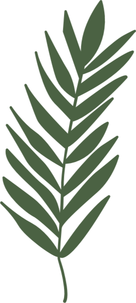 https://pub-static.fotor.com/assets/stickers/0513760c-3dd9-45cd-8fd9-9d05bbdfdd9f_thumb.png