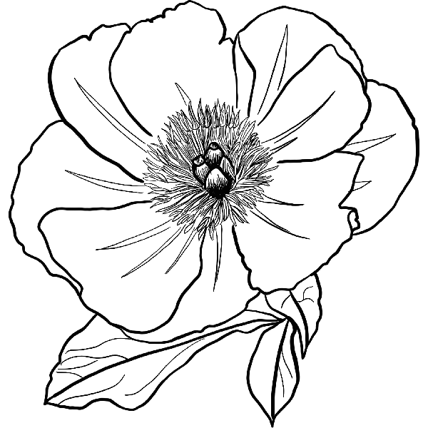 https://pub-static.fotor.com/assets/stickers/3304683c-18a2-463a-bb09-27167e4ceb3b_thumb.png