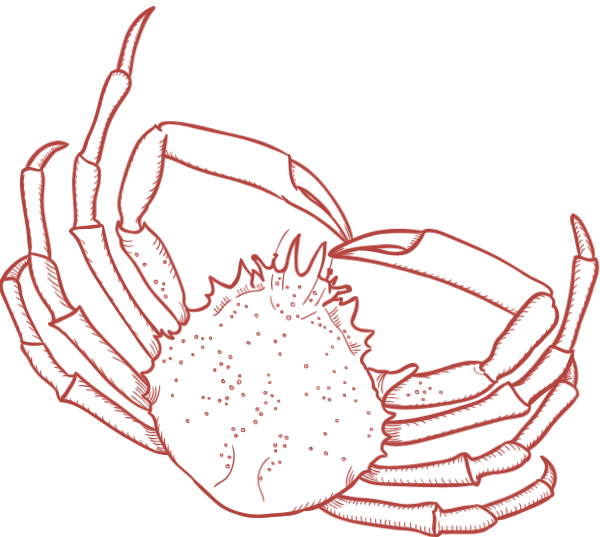 https://pub-static.fotor.com/assets/res/sticker/bf699887-6bba-4893-827f-ef0b6297d457_thumb.png