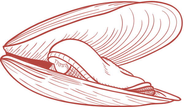 https://pub-static.fotor.com/assets/res/sticker/41851c67-8cc7-4005-8241-2cf6fd1d305d_thumb.png