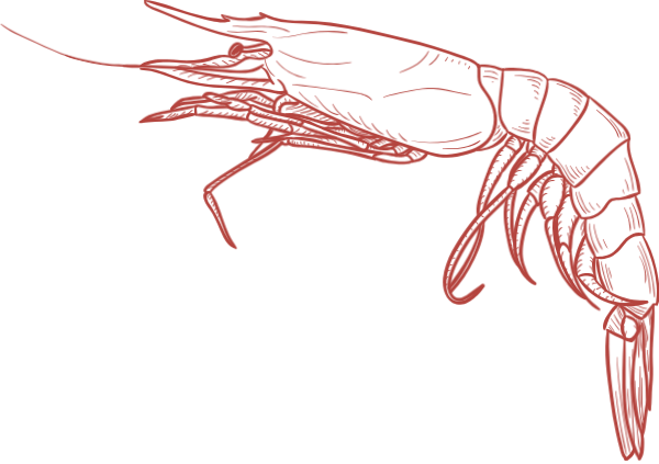 https://pub-static.fotor.com/assets/res/sticker/e2efee38-6d73-4064-8564-197d553c5819_thumb.png