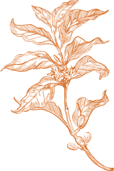 https://pub-static.fotor.com/assets/stickers/af321f3b-b507-4cc4-a986-a0f55133877b_thumb.png