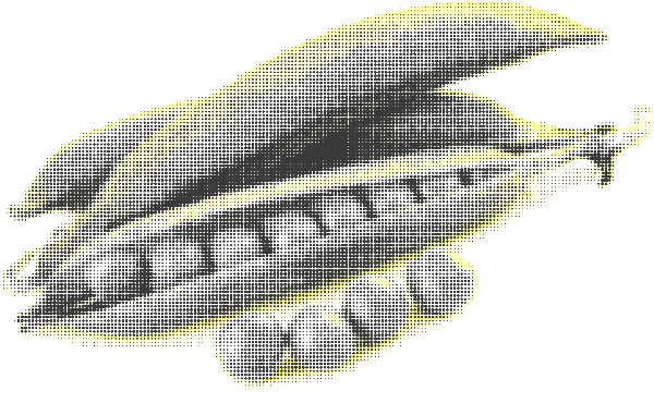 https://pub-static.fotor.com/assets/stickers/bed79c13-fa19-4a1d-9c65-2e2071693556_thumb.png