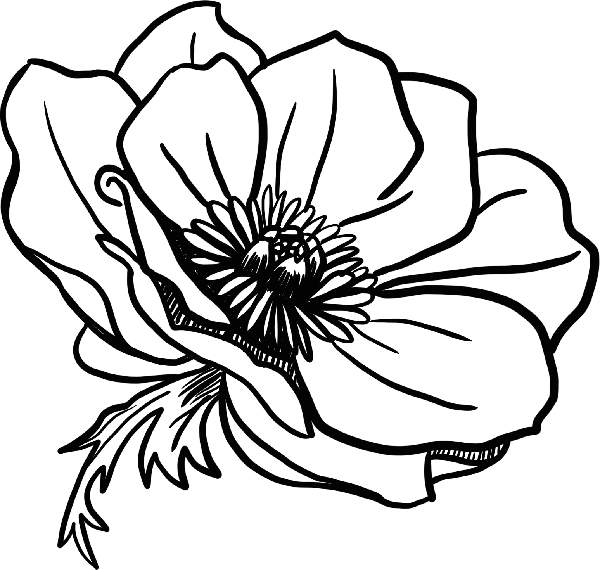 https://pub-static.fotor.com/assets/stickers/04ef3e09-4cff-4bd0-8cc3-4e16b9bc8a76_thumb.png