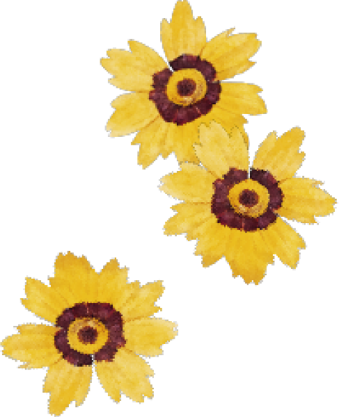 https://pub-static.fotor.com/assets/stickers/8a243578-53da-49d3-bf85-bedbfb7372be_thumb.png