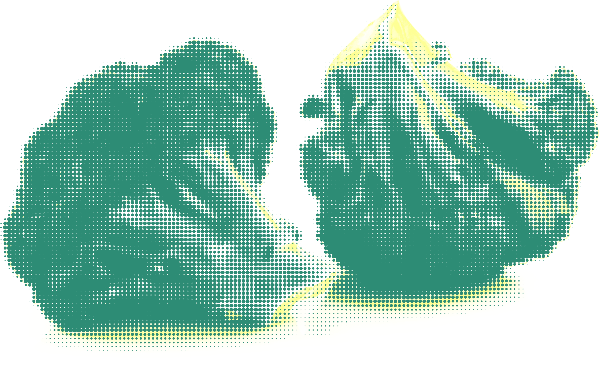 https://pub-static.fotor.com/assets/stickers/ca42f7de-8007-44b5-923f-8efb0e7b1a7e_thumb.png