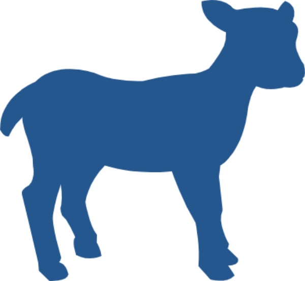 https://pub-static.fotor.com/assets/stickers/4e6611a0-3d9f-44c8-8db7-4e3cf491be2f_thumb.png