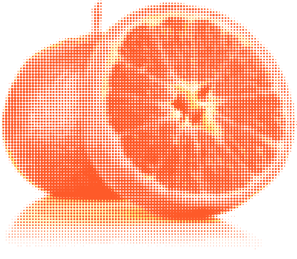 https://pub-static.fotor.com/assets/stickers/2c8e17b2-c64f-4454-860f-8877beaa831a_thumb.png