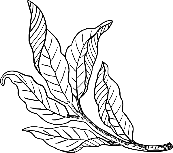 https://pub-static.fotor.com/assets/stickers/646753e9-2071-489a-9dac-35fa06d49998_thumb.png