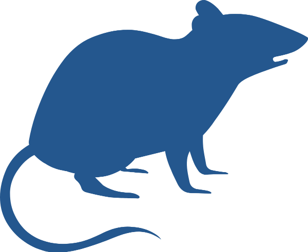 https://pub-static.fotor.com/assets/stickers/9f362024-6f94-4a6c-99c1-b728019f8e7f_thumb.png