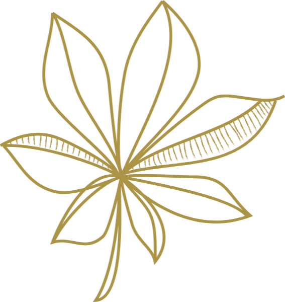 https://pub-static.fotor.com/assets/stickers/Autumn_cl_20170118_08/6f701cf1-04aa-4efe-8274-e2b47a8b759e_thumb.png