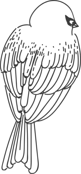https://pub-static.fotor.com/assets/stickers/BIRDY_cl_20170114_04/29167dbe-5e9a-4c4f-a18b-549336598003_thumb.png