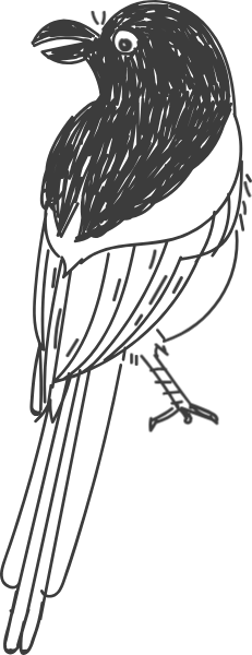 https://pub-static.fotor.com/assets/stickers/BIRDY_cl_20170114_07/c2e72ed2-b84e-457b-88a2-505f4087a9ef_thumb.png