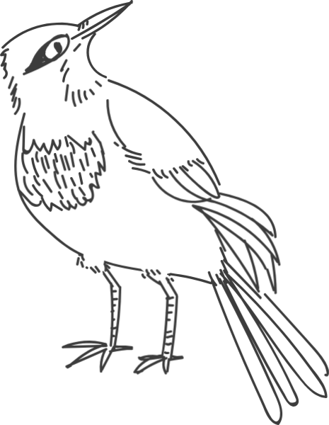 https://pub-static.fotor.com/assets/stickers/BIRDY_cl_20170114_11/cff9c57d-0695-46fc-8494-0c18bac5f51d_thumb.png