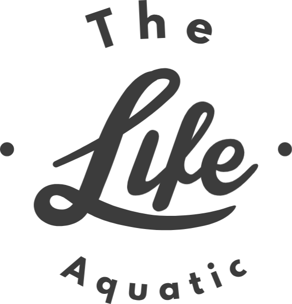 https://pub-static.fotor.com/assets/stickers/Party_decals_cl_0170113_01/c6eaa933-9536-4e17-8345-1f3e36c697cb_thumb.png