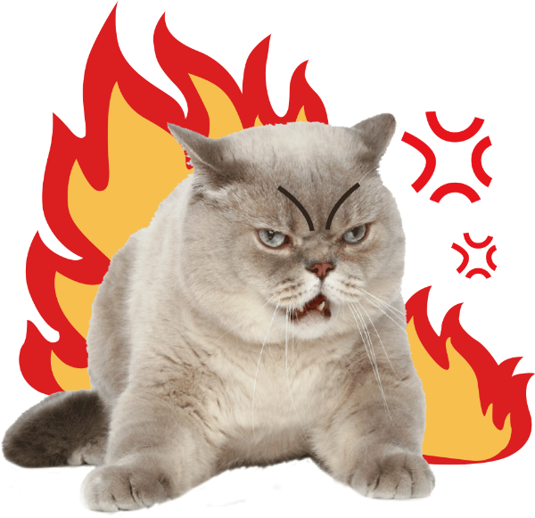 https://pub-static.fotor.com/assets/res/sticker/3d08d9ae-5794-477a-b88b-6d7e0dd7162b_thumb.png