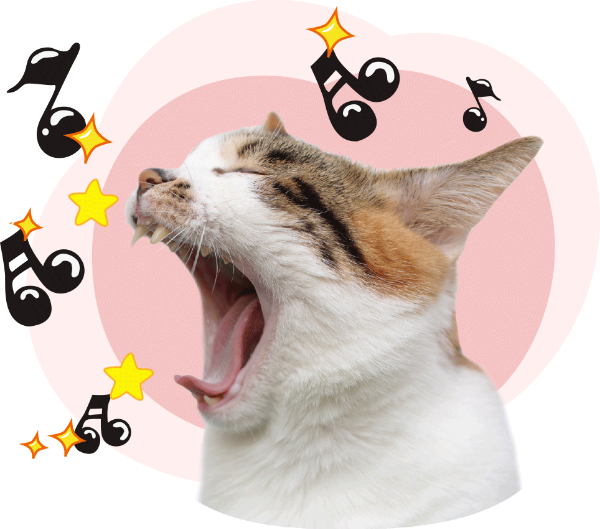 https://pub-static.fotor.com/assets/res/sticker/538924dd-cd49-4c58-8c1f-505d04dc1e5e_thumb.png