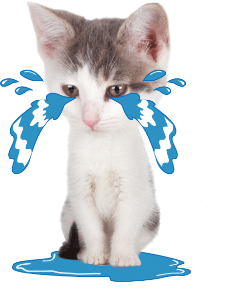 https://pub-static.fotor.com/assets/res/sticker/e2c254d7-198a-4119-bfca-d8788bcb2579_thumb.png