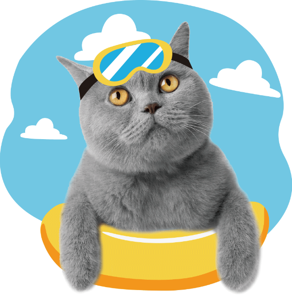 https://pub-static.fotor.com/assets/res/sticker/b12fd2f5-795a-48be-84dd-107945bd451a_thumb.png