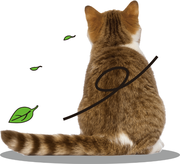 https://pub-static.fotor.com/assets/res/sticker/79f0cf33-bfa8-4121-bd0b-d43f9542b863_thumb.png