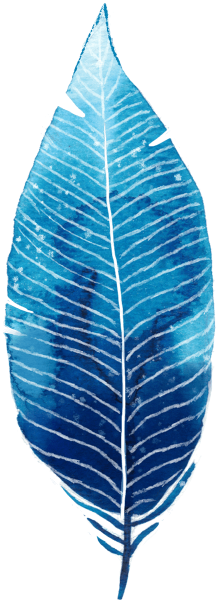 https://pub-static.fotor.com/assets/stickers/feathers_cl_20170113_01/ee0590eb-3854-4d82-84ee-b4084b135222_thumb.png