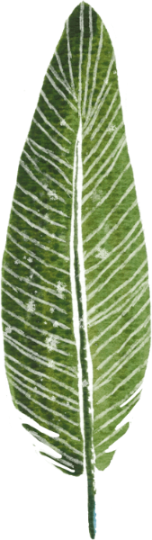 https://pub-static.fotor.com/assets/res/sticker/1b3455c6-62dc-4d44-85ab-e75cbc50007d_thumb.png
