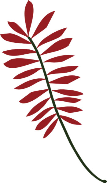 https://pub-static.fotor.com/assets/res/sticker/4ab44d02-b344-44f9-810c-49db40625b49_thumb.png