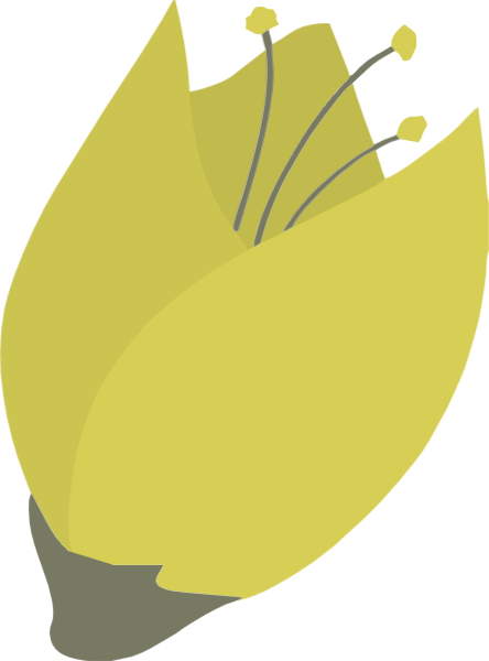 https://pub-static.fotor.com/assets/res/sticker/b0664651-580e-4817-957d-ffe0a848bc48_thumb.png