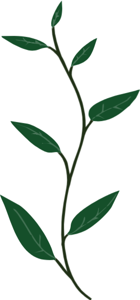 https://pub-static.fotor.com/assets/res/sticker/e7021dc8-181d-45be-acc8-c6d844dceb25_thumb.png