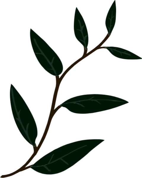 https://pub-static.fotor.com/assets/res/sticker/7f02d97b-e447-4c4c-8165-4fa2c3ab398a_thumb.png
