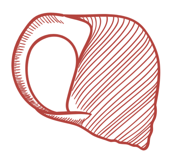 https://pub-static.fotor.com/assets/res/sticker/7d8a3fd8-345a-4e2a-a7d6-84c05e497cd6_thumb.png