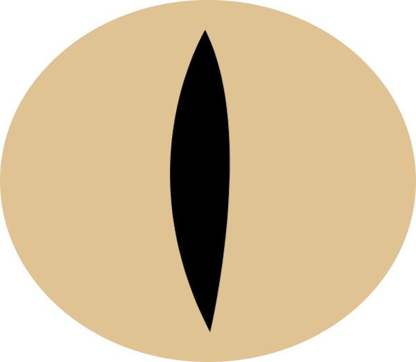 https://pub-static.fotor.com/assets/stickers/hf17/1bd521c8-38d5-4eb9-8718-139eee096918_thumb.png