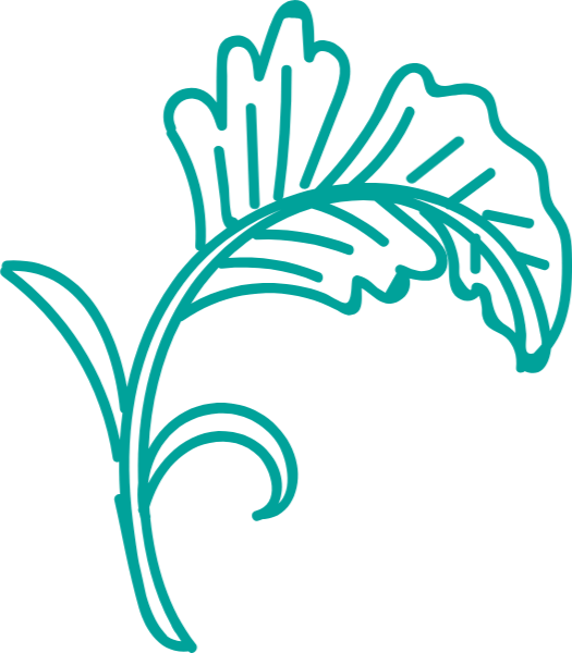 https://pub-static.fotor.com/assets/stickers/oriental_weddung_CL_20170114_12/3dabda4c-fab5-4ac7-99f3-18c5ee9e95fa_thumb.png