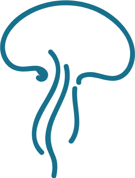 https://pub-static.fotor.com/assets/res/sticker/95f903ed-8216-475b-a237-660f81779b02_thumb.png