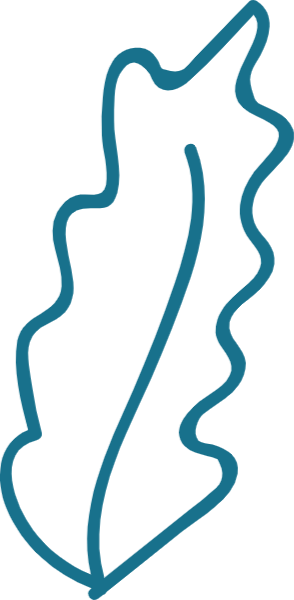 https://pub-static.fotor.com/assets/res/sticker/70454a3d-ea8e-4c22-88c5-1208297a8c81_thumb.png