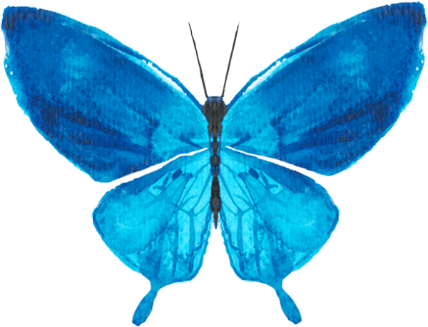 https://pub-static.fotor.com/assets/res/sticker/84db6cfd-3b53-445c-b65b-8395390abb3d_thumb.png