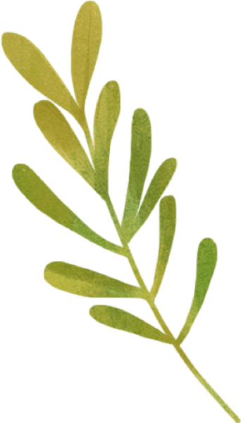 https://pub-static.fotor.com/assets/res/sticker/ca9b67a4-ef7c-48cb-8985-04897a875b64_thumb.png
