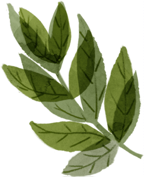 https://pub-static.fotor.com/assets/res/sticker/b4cab927-8346-41f2-94f9-57ed0e26fbf3_thumb.png