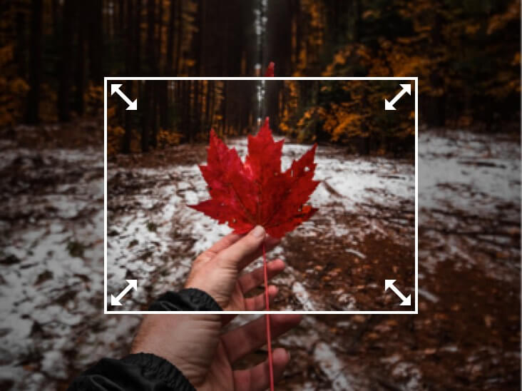 Lomo Photo Effect Free Online Lomo Photography Effects Fotor Photo