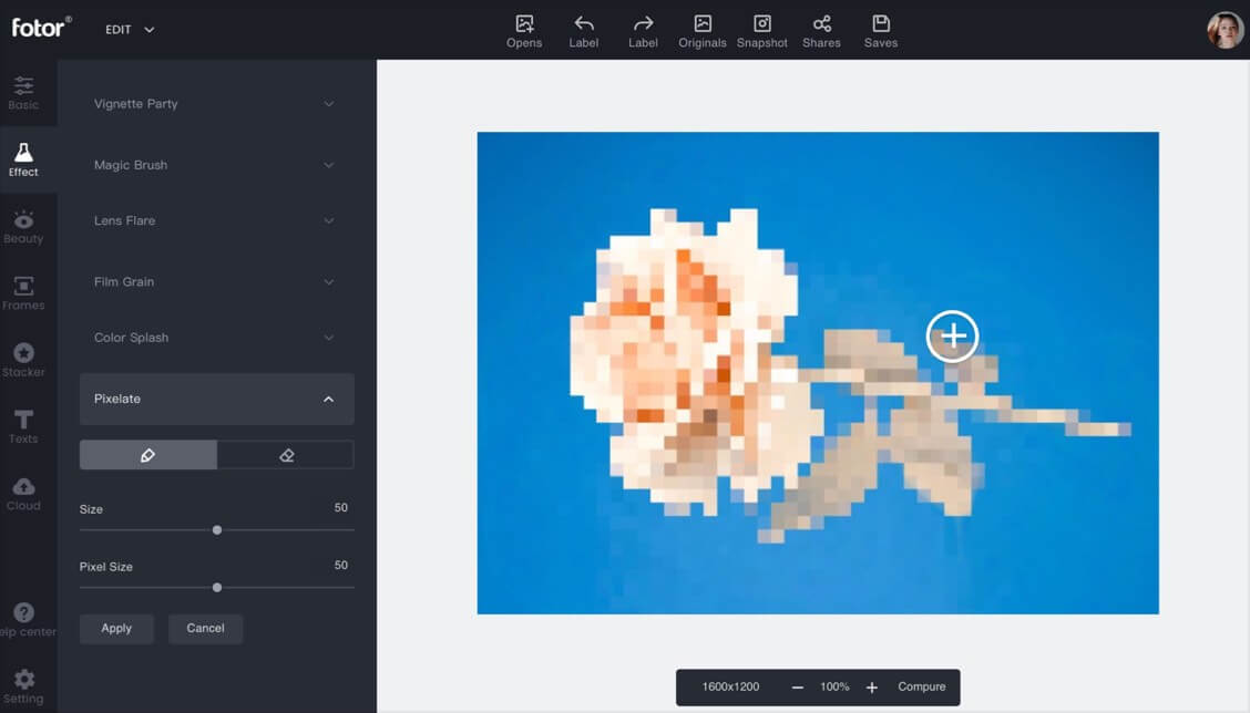 fotor for mac pixelate