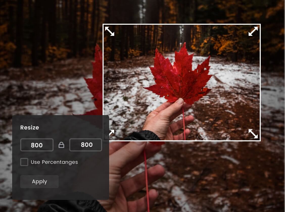 Featured image of post Resize Image Without Losing Quality Free Download : If you want something that is powerful with a ton of features and plugins, then this is it.